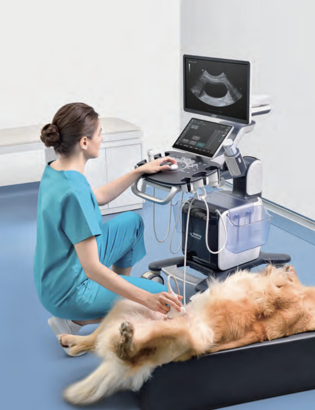 mindray vetus 50 veterinary ultrasound machine